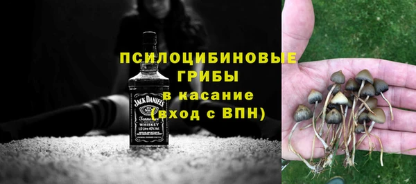 твердый Алзамай
