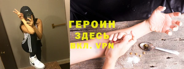МДПВ Пересвет