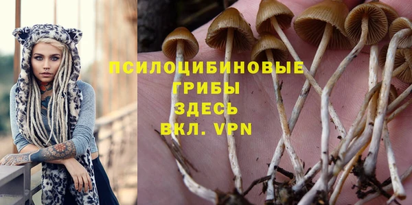 бошки Алексеевка