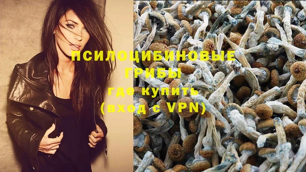 крисы Пестово