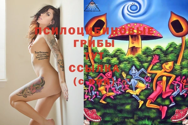 прущий лед Алексин
