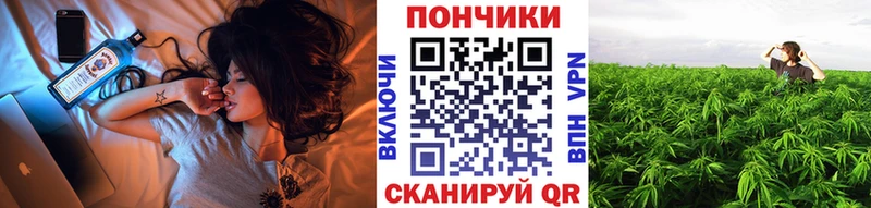 что такое наркотик  Пошехонье  Бошки марихуана индика 